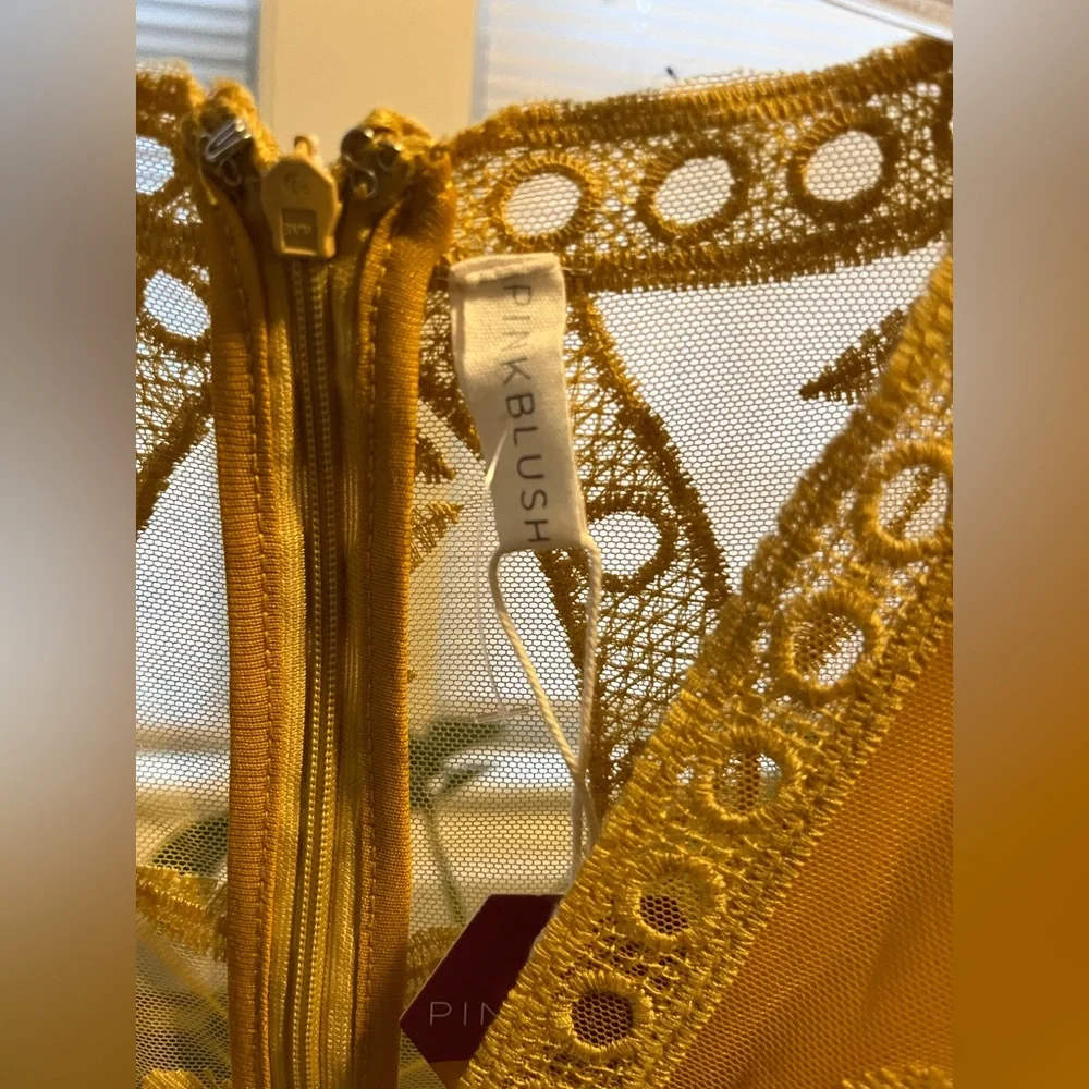 Pink Blush Marigold Lace Maxi Dress - Picture 5 of 7